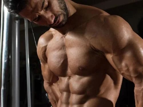 Beta alanina przed czy po treningu - kiedy najlepiej ją stosować?