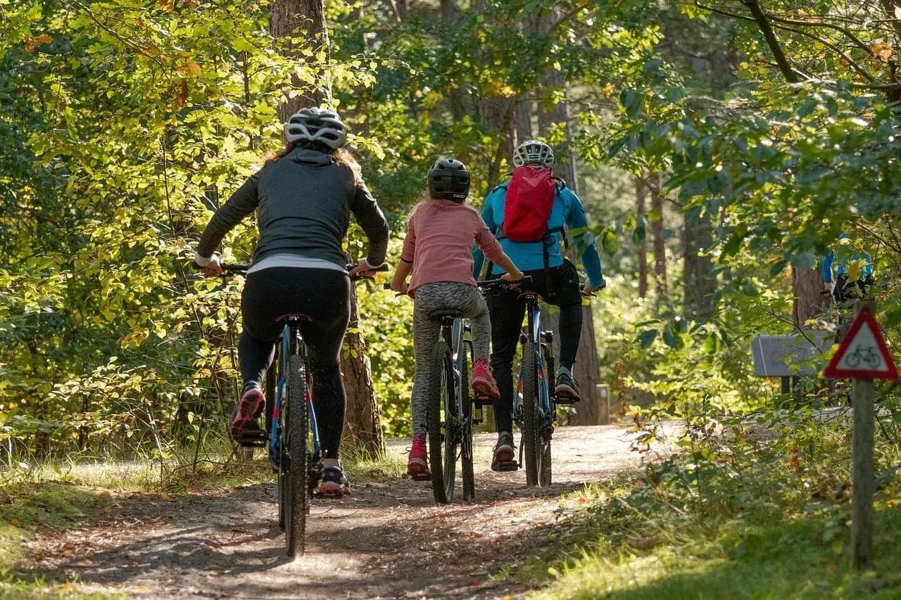 Trasy rowerowe lubelskie: Odkryj najpiękniejsze szlaki i widoki