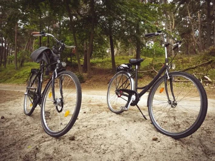 Trasy rowerowe Płock: Odkryj najlepsze szlaki i atrakcje w regionie