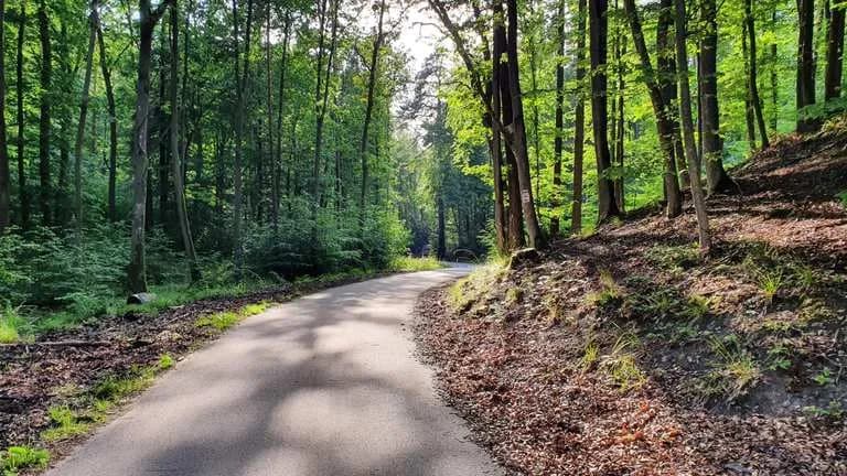 Najlepsze trasy rowerowe w Gdańsku: odkryj ukryte skarby miasta