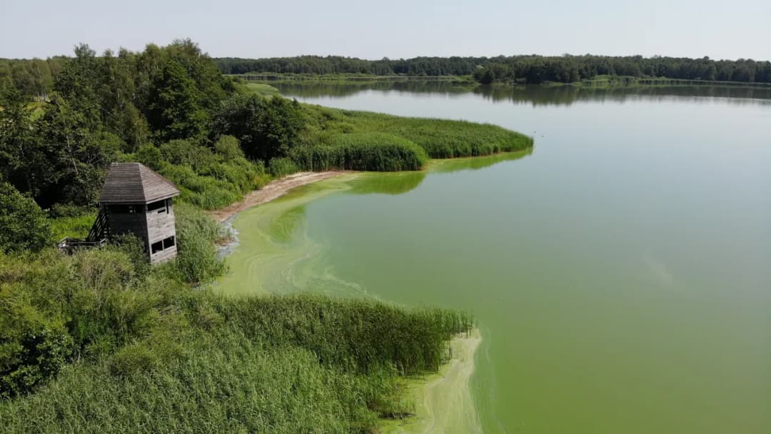 Najlepsze trasy rowerowe w Miliczu - odkryj ukryte skarby regionu