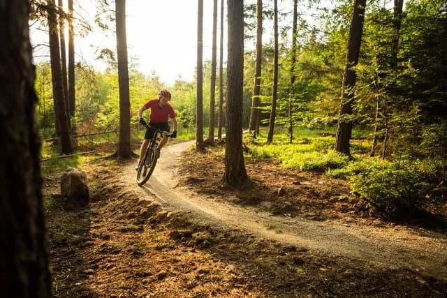 Leśne trasy rowerowe: odkryj najtrudniejsze i najpiękniejsze szlaki