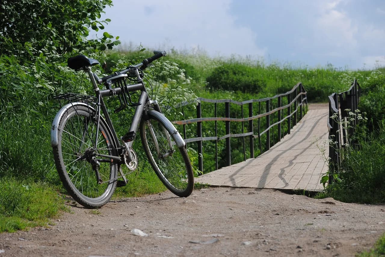 Najlepsze trasy rowerowe w Polsce, które zachwycą każdego cyklistę