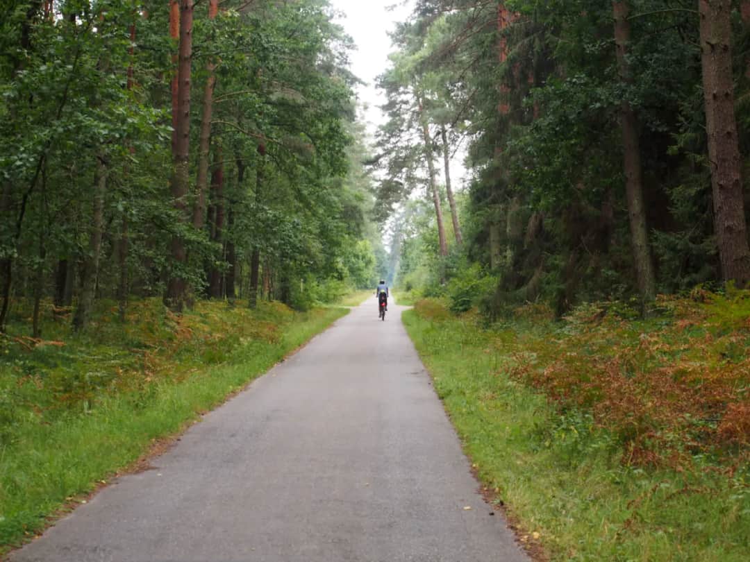 Puszcza Niepołomicka trasy rowerowe mapa – odkryj najlepsze szlaki