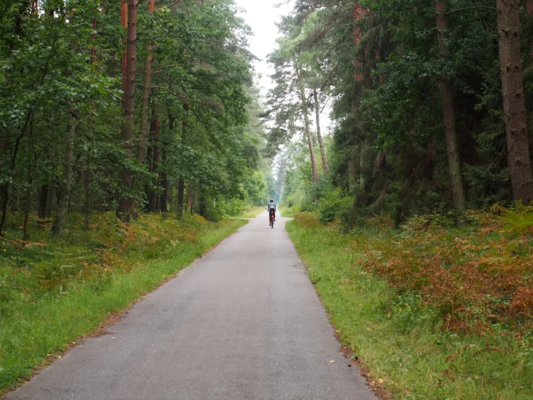 Puszcza Niepołomicka trasy rowerowe mapa – odkryj najlepsze szlaki